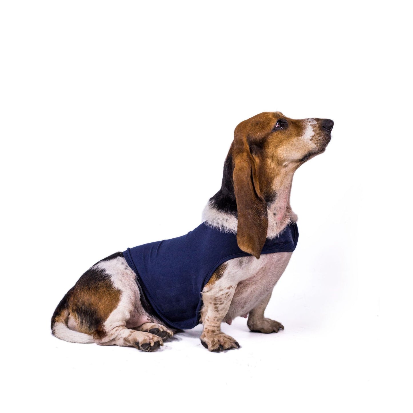 Dog Anxiety Comfort Wrap | Calming Vest for Dogs
