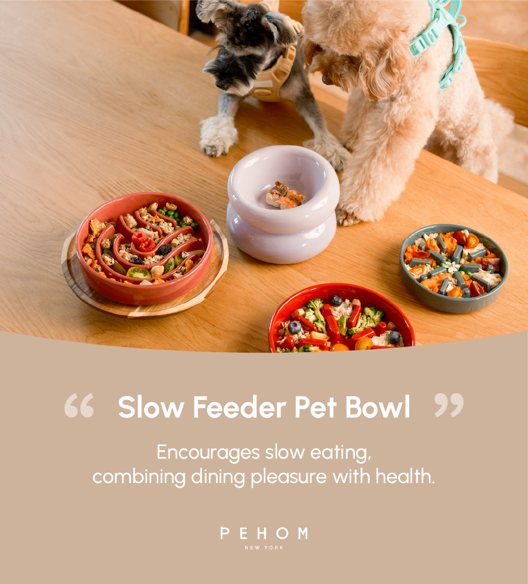 Wave Slow Feeder Dog Bowl – Ceramic, Non-Slip | Pink, Beige & Orange