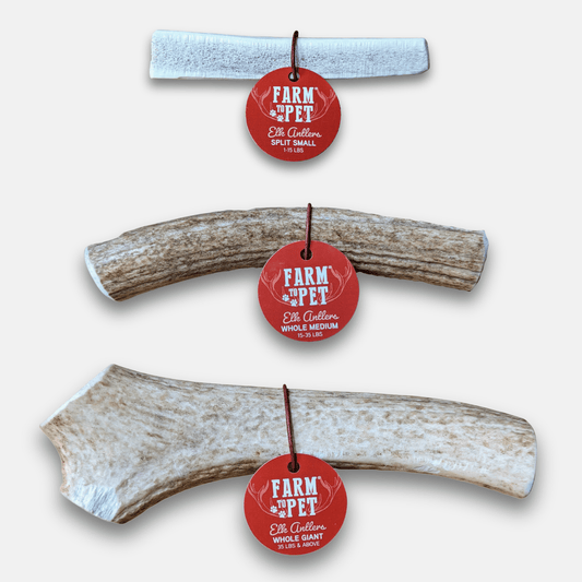 All-natural elk antler dog chews - whole and split options for dogs