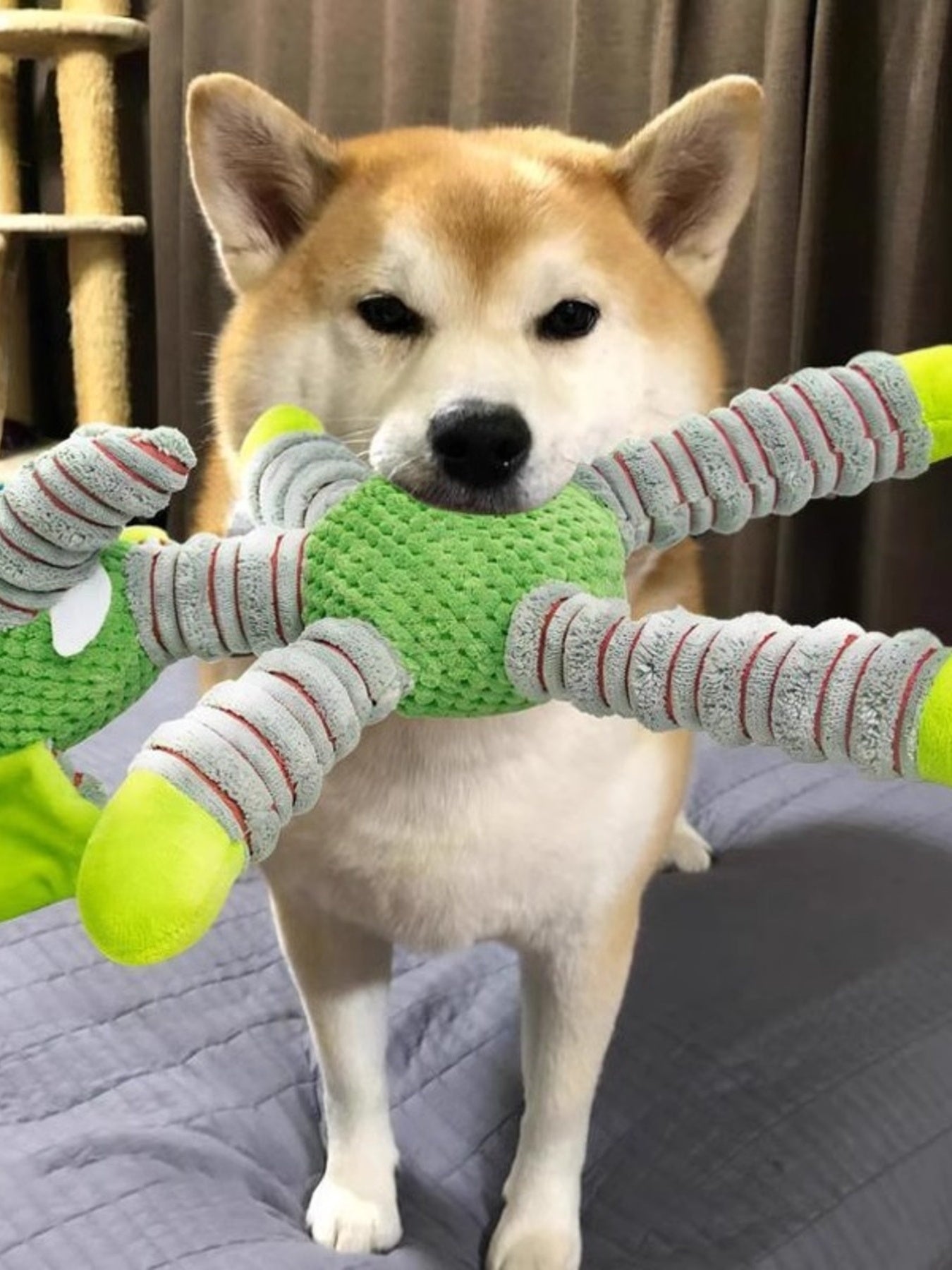 Soft Plush Pet Toy