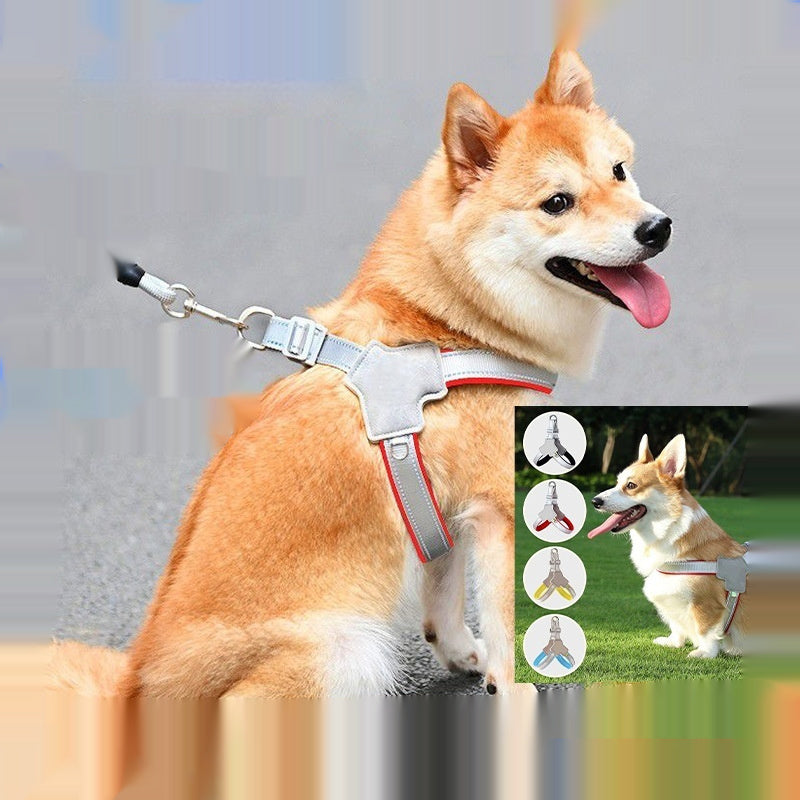 Reflective Vest-Style Dog Harness & Leash Set | Breathable Y-Shape for Outdoor Walking