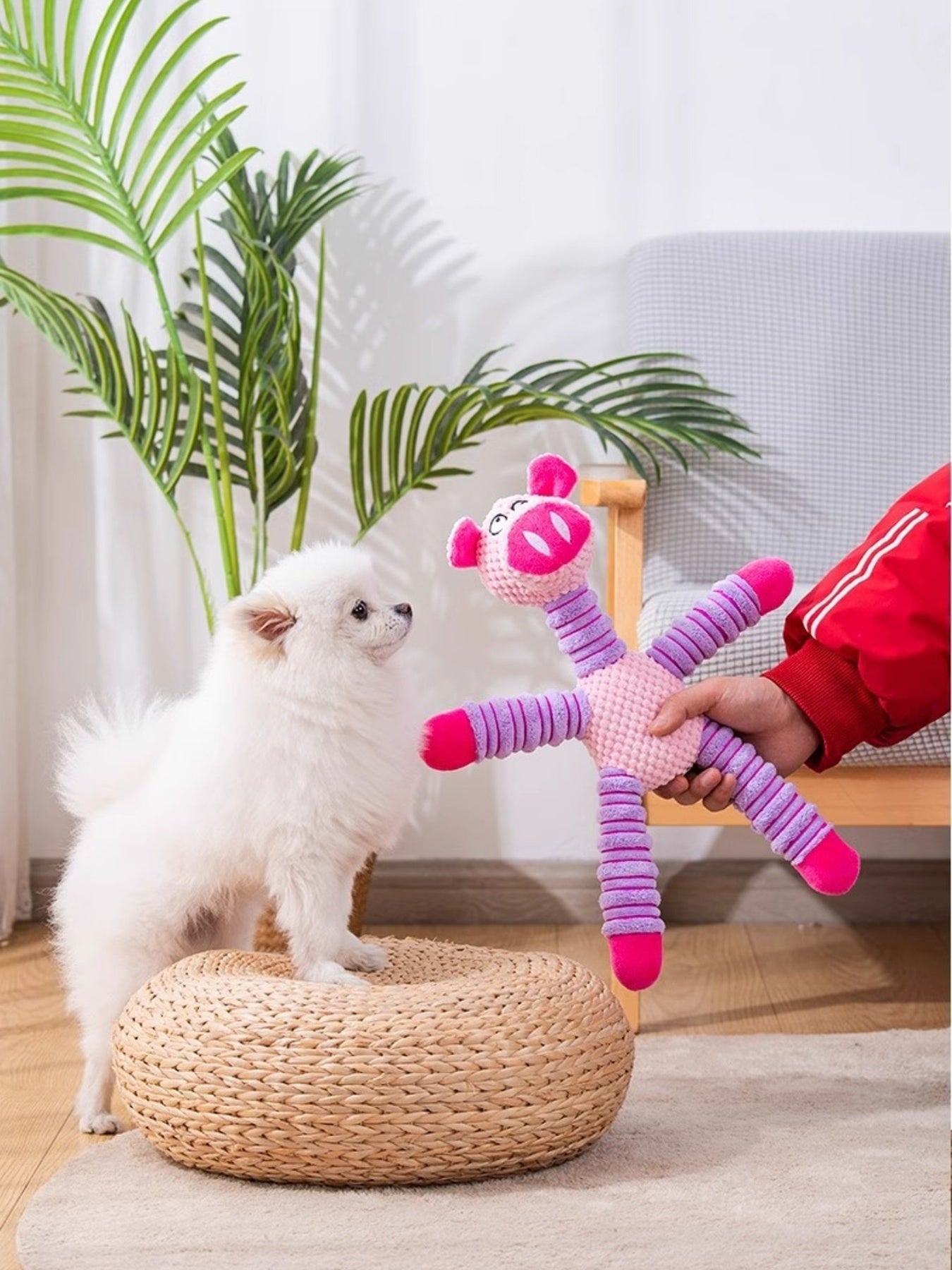 Soft Plush Pet Toy