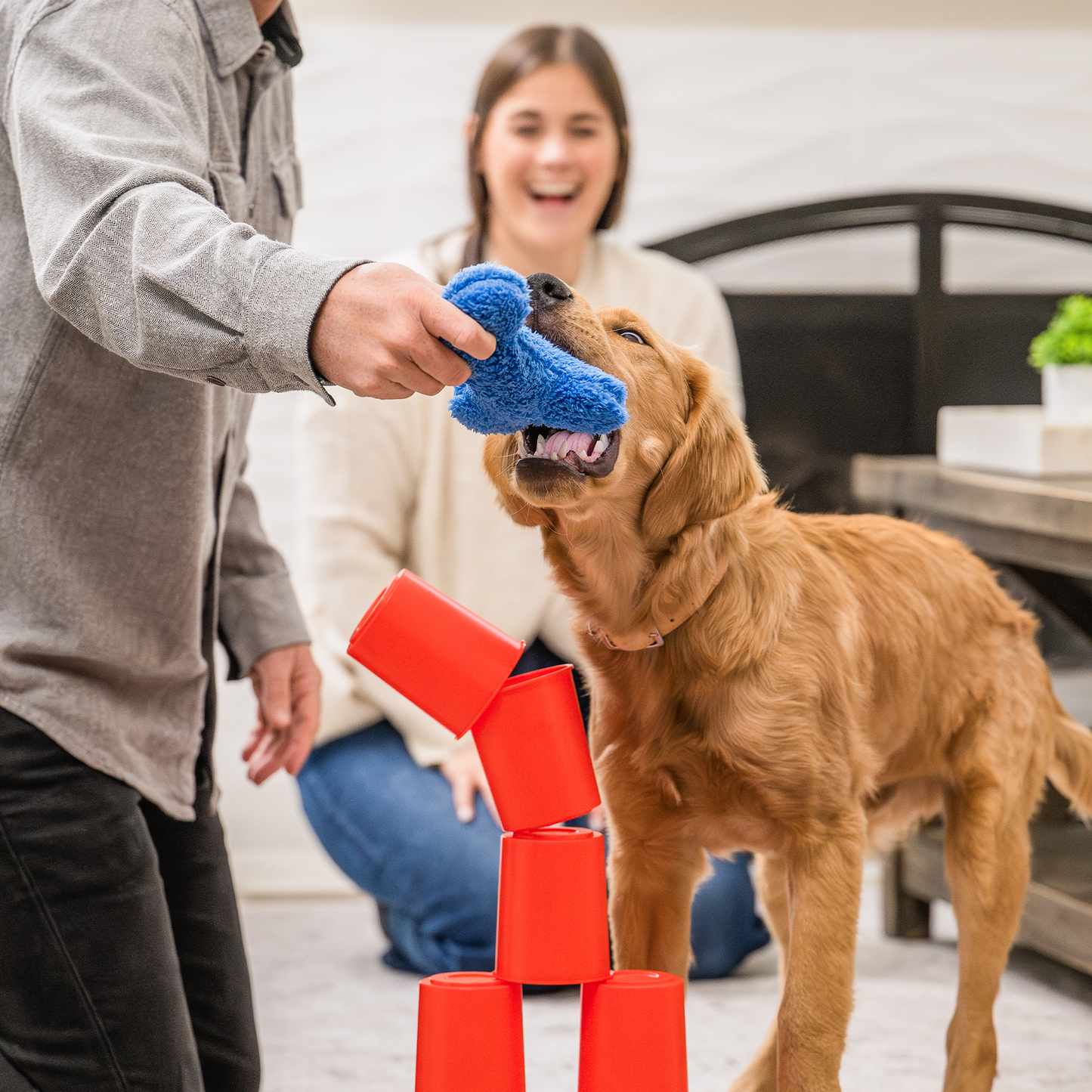 West Paw The Dog's Best Friend Game – Fun Family Card Game for Dog Lovers