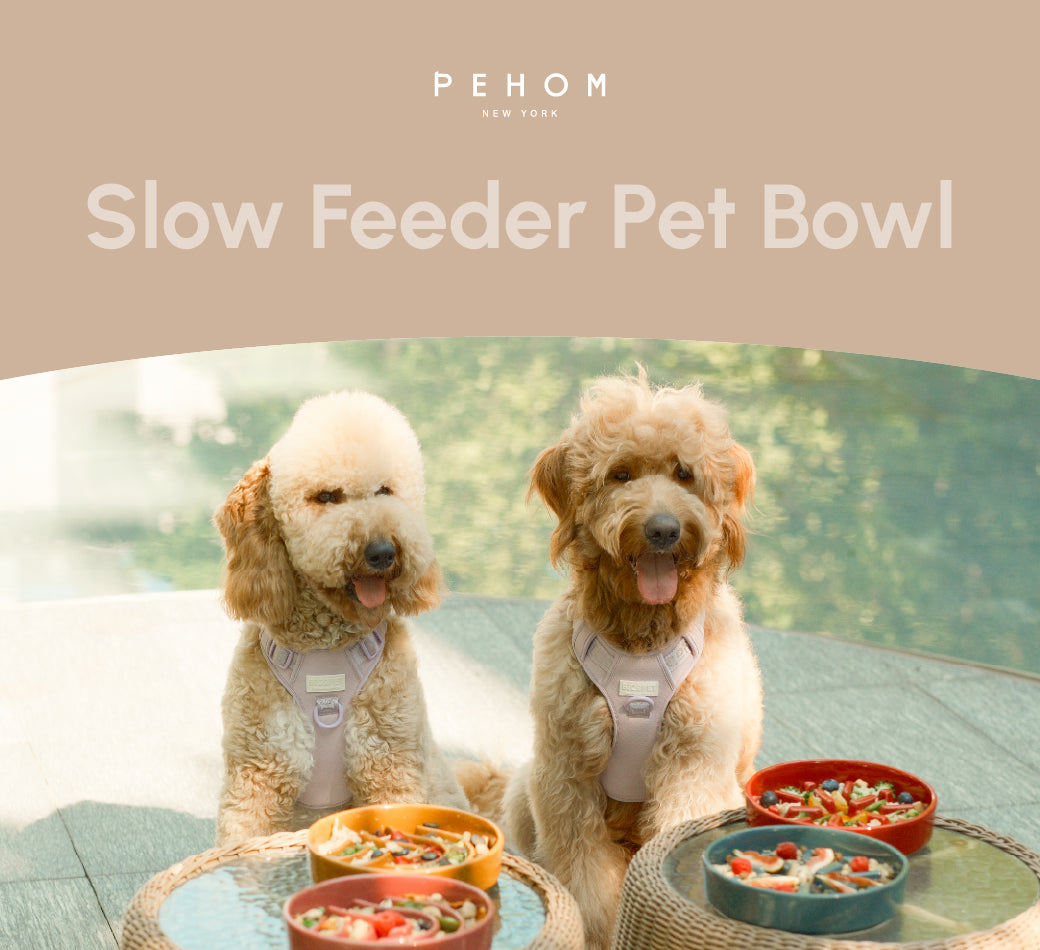 Wave Slow Feeder Dog Bowl – Ceramic, Non-Slip | Pink, Beige & Orange