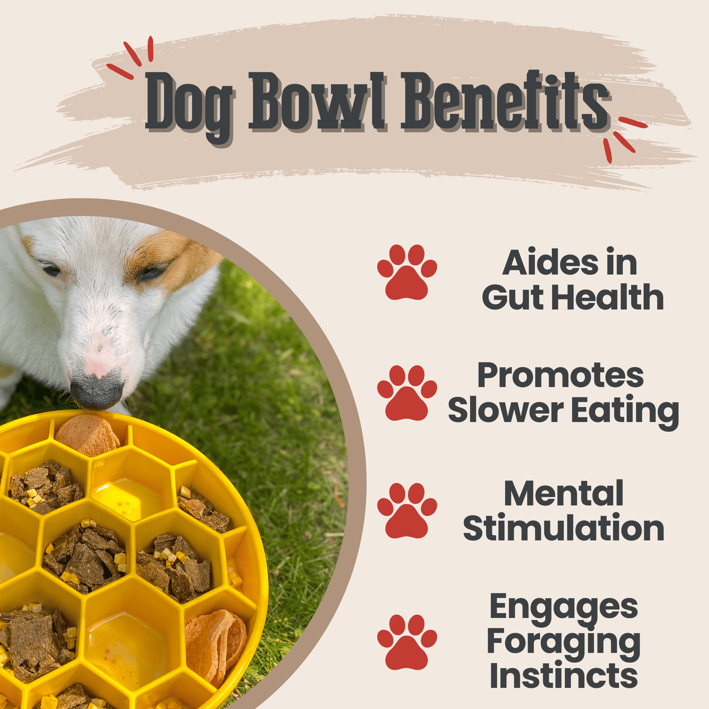 SodaPup Slow Feeder Dog Bowls – Enrichment Bowl for Healthier, Calmer Mealtimes