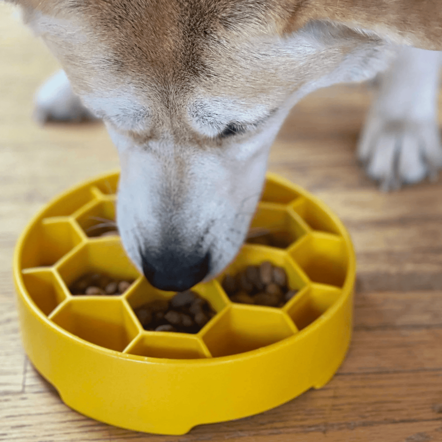 SodaPup Slow Feeder Dog Bowls – Enrichment Bowl for Healthier, Calmer Mealtimes