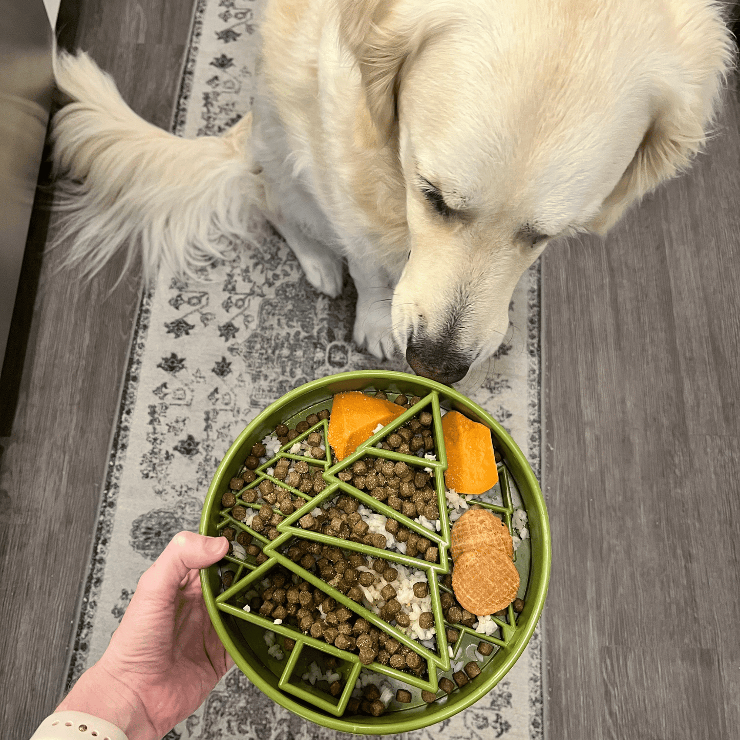 SodaPup Slow Feeder Dog Bowls – Enrichment Bowl for Healthier, Calmer Mealtimes