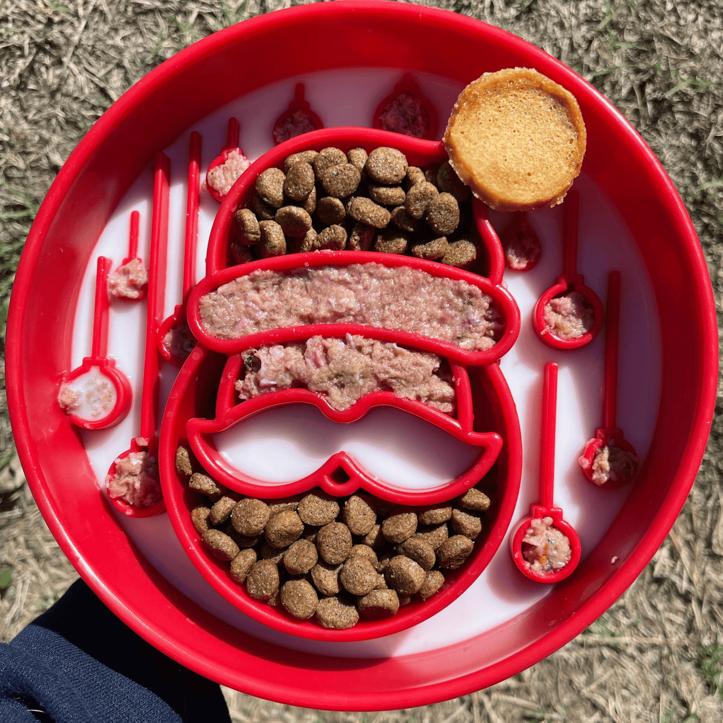 SodaPup Slow Feeder Dog Bowls – Enrichment Bowl for Healthier, Calmer Mealtimes