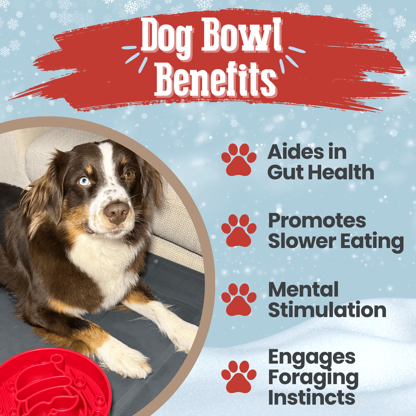 SodaPup Slow Feeder Dog Bowls – Enrichment Bowl for Healthier, Calmer Mealtimes