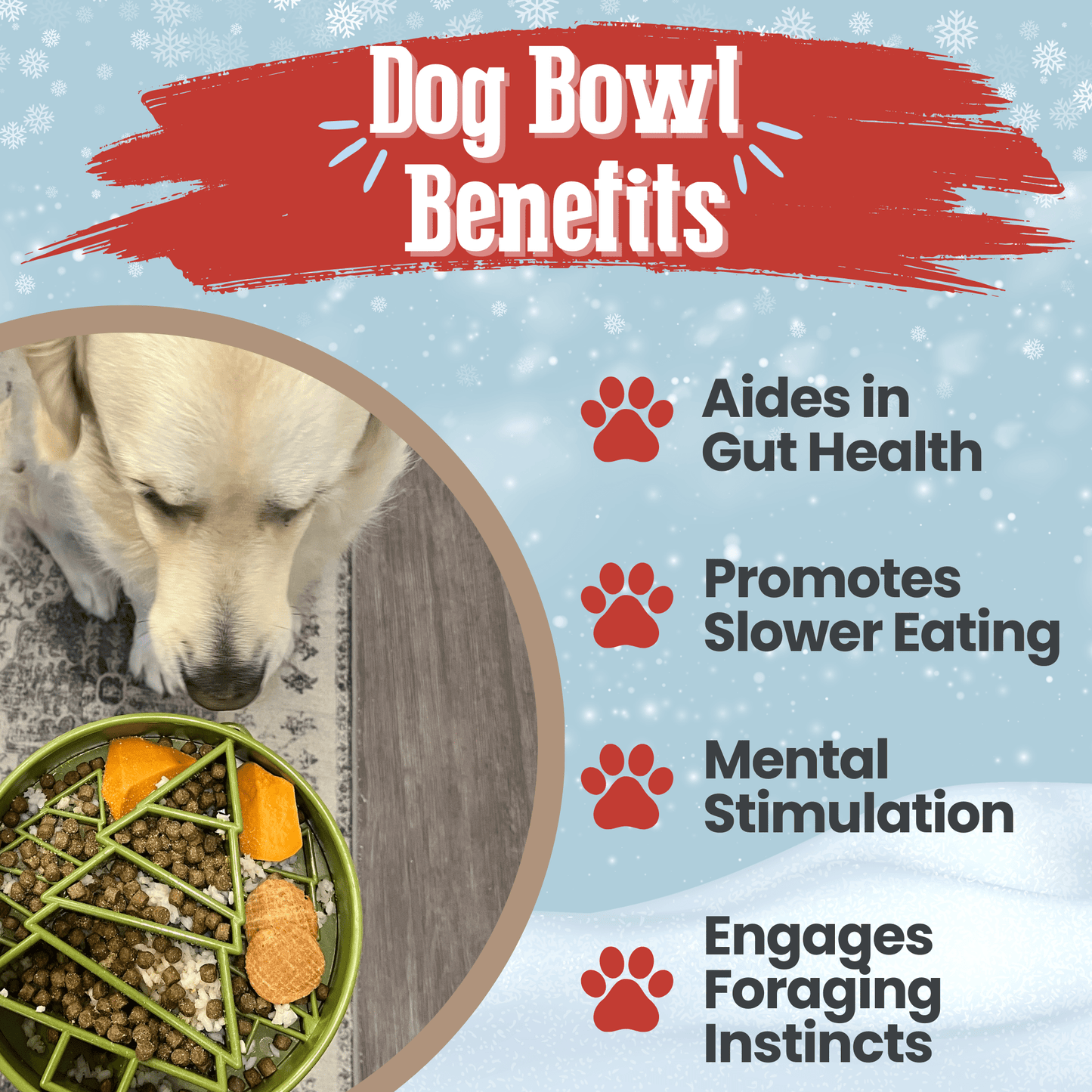 SodaPup Slow Feeder Dog Bowls – Enrichment Bowl for Healthier, Calmer Mealtimes