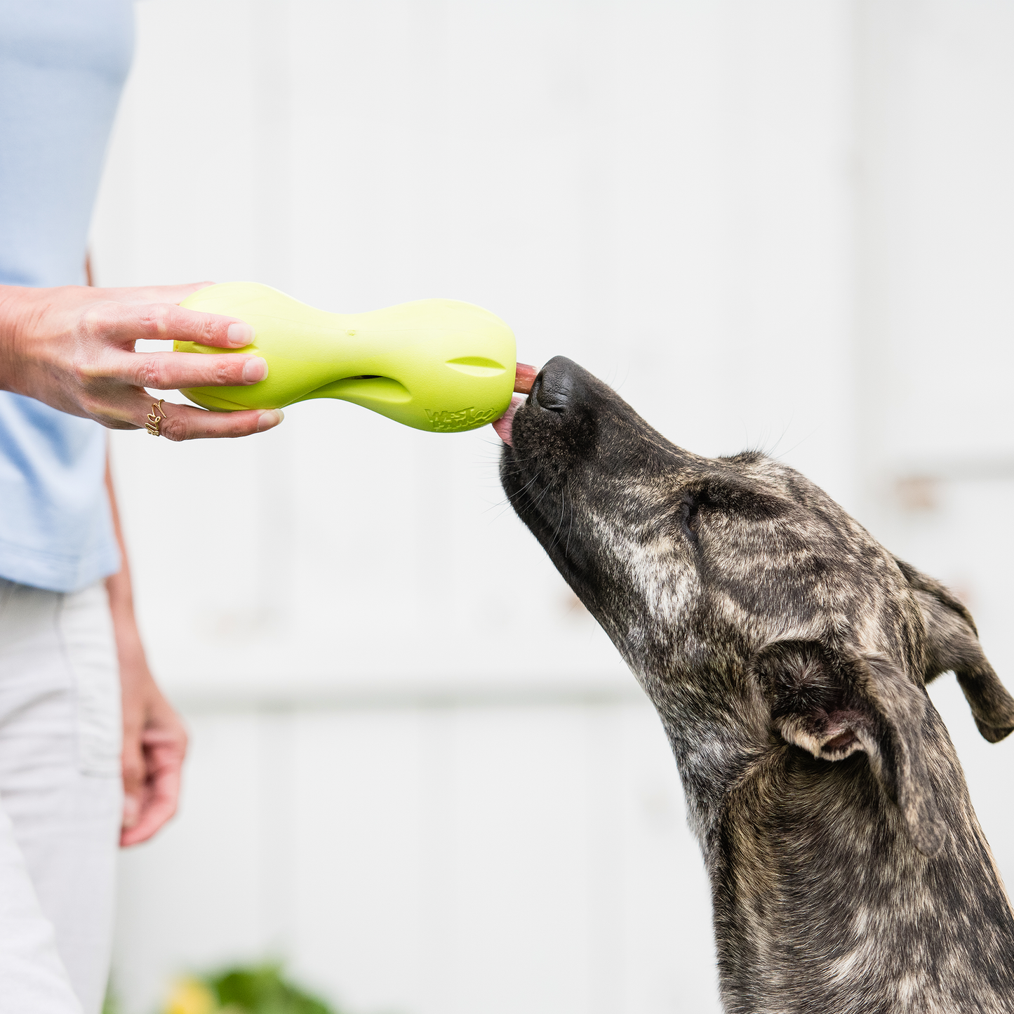 West Paw Qwizl – Tough Treat Toy for Dogs, Extends Bully Sticks & Chews