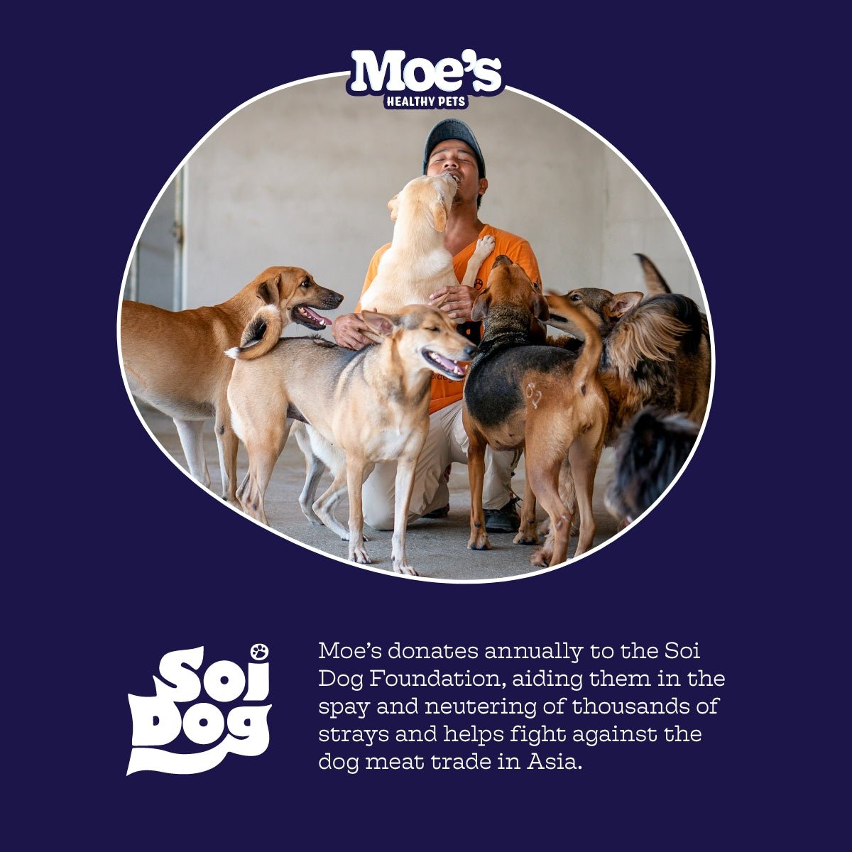 Moe's Chillout Chews – Calming Dog Supplement | Hemp, Chamomile & L-Theanine
