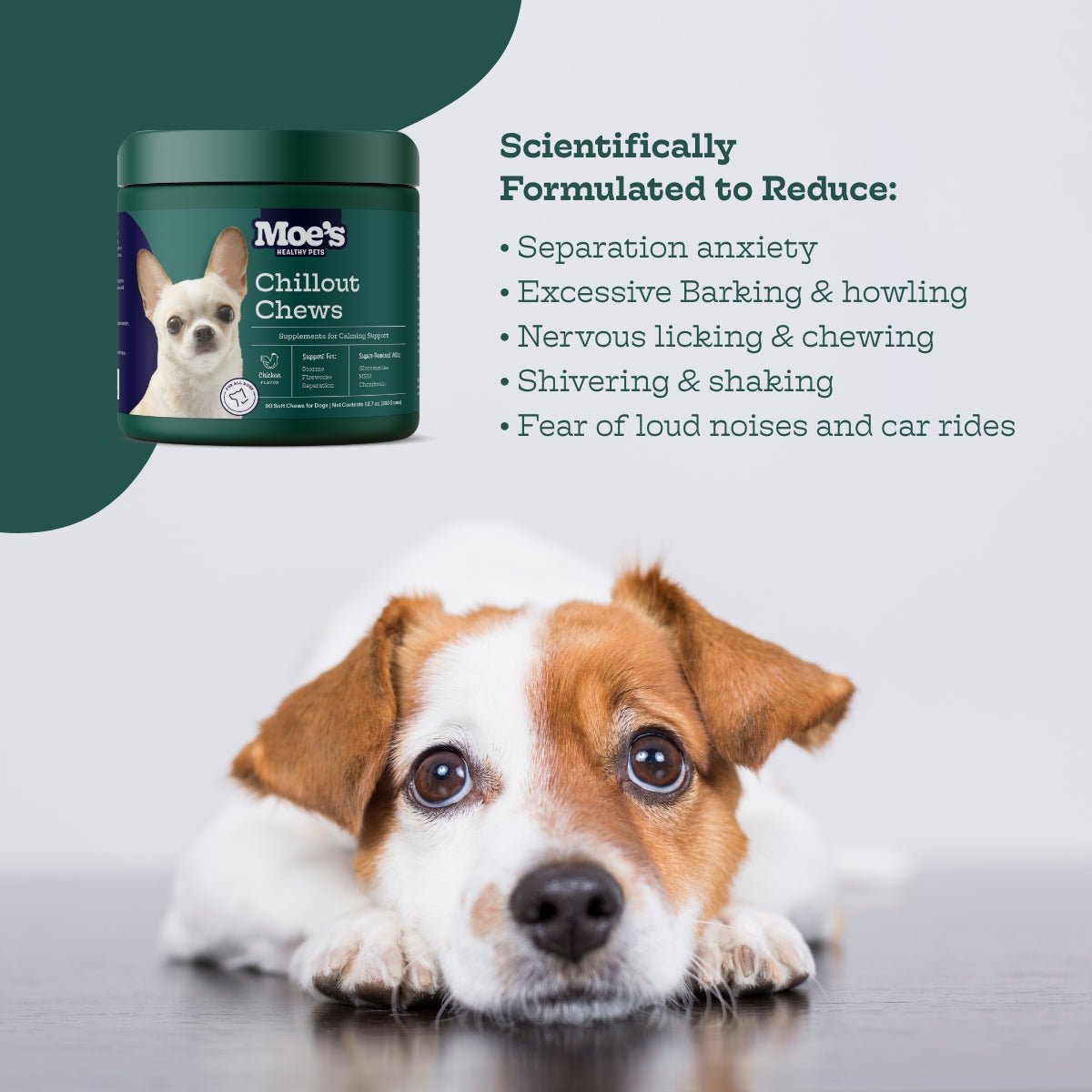 Moe's Chillout Chews – Calming Dog Supplement | Hemp, Chamomile & L-Theanine
