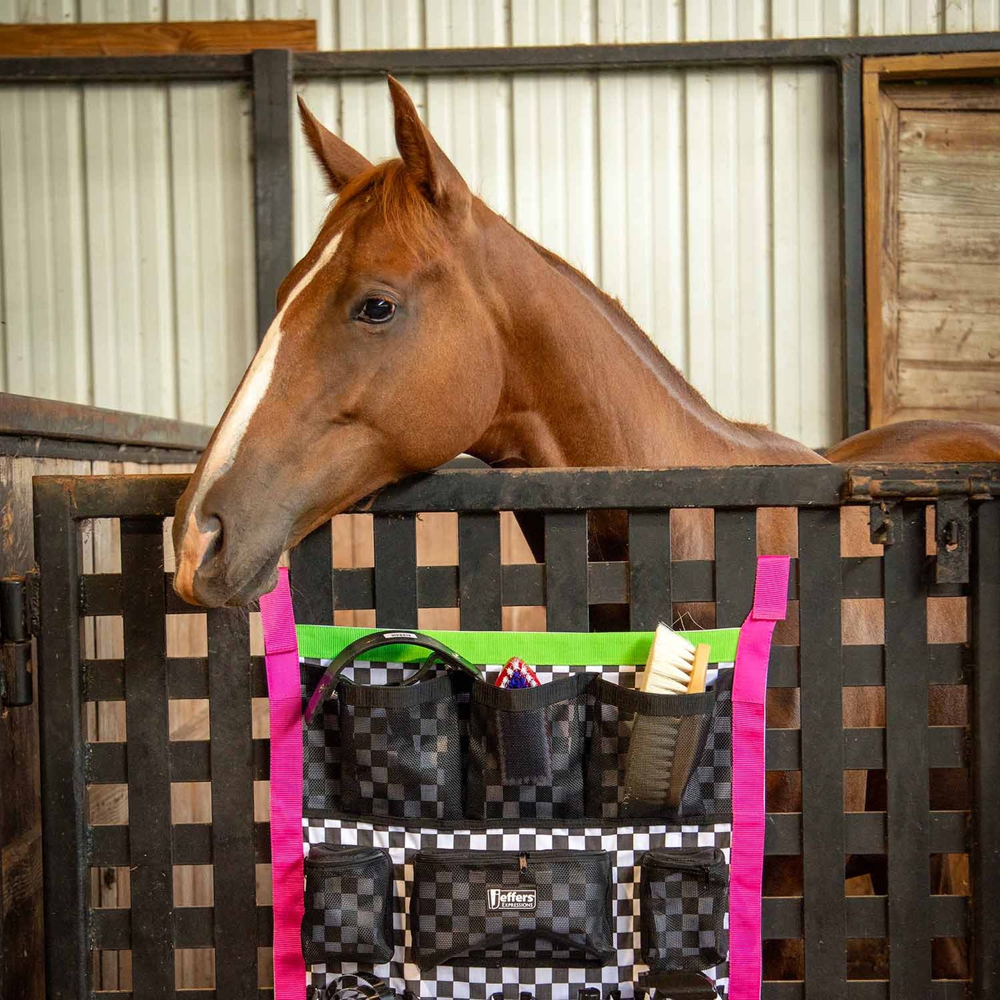 Jeffers Expression Trailer Door Horse Grooming Caddy